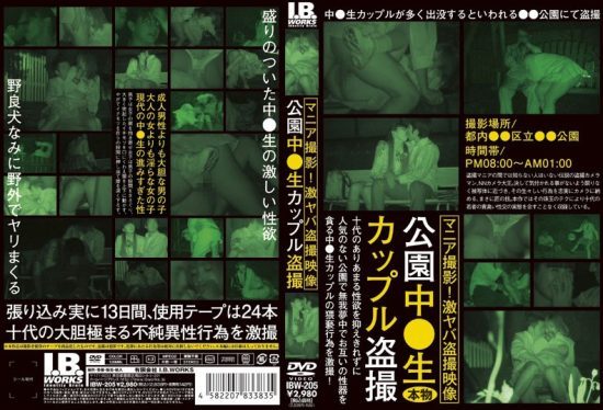 [IBW-205] Voyeurism of a middle school couple in the park