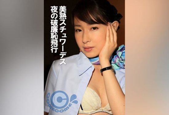 [PYU-352] Mature Stewardess: Indecent Night Flight