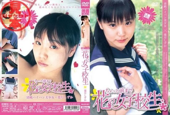 [DCG-02] Shizuka Hazuki – High School Student vol.2 Shibuya Publishing Collection Cover
