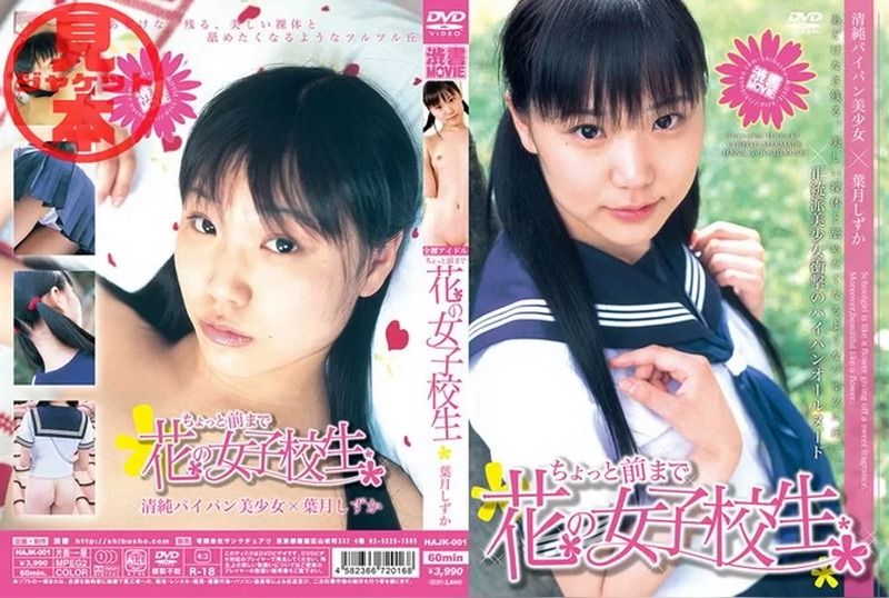 [DCG-02] Shizuka Hazuki – High School Student vol.2 Shibuya Publishing Collection Cover - JAV.LI - jav free streaming and download