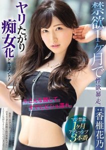 [PRED-322] Explosive Desire After 1 Month Of Abstinent Sex Life. Document Of A Slut That Wants To Be Fucked! Kano Kashii