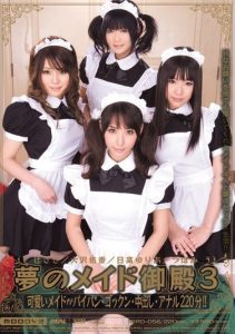 [MIRD-056] Maid Palace of my Dreams 3