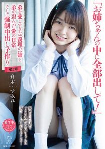 [PIYO-134] The Daily Life Of The Distorted Love Of The (in-law) Sister And Younger Brother Who Loved Her Brother Too Much, And Strong ● Making A Vaginal Cum Shot Chapter 3