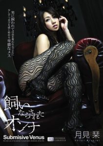 [SOE-366] Trained Woman – Shiori Tsukimi