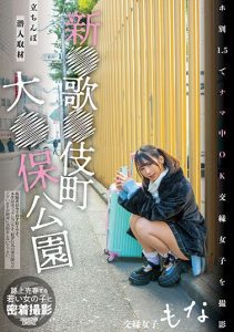 [NNPJ-569] Infiltrating an Upright Prostitution Area, Taking Pictures of Women Open to Raw Sex – Sengoku Monaka