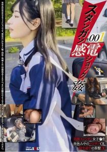 [SETM-009] Stun gun electric shock rape 001