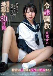 [APNS-338] Hellish 30 Days of Training Aristocratic Girl Until Pregnancy Toujou Yui