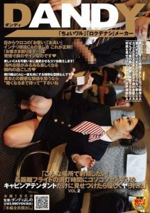 [DANDY-202] “I Want to Ejaculate in a Place Like This! If I Secretly Show Masturbation During the Lights-out Time on a Long-distance Flight, I Will Be Kindly Engaged” Vol.2