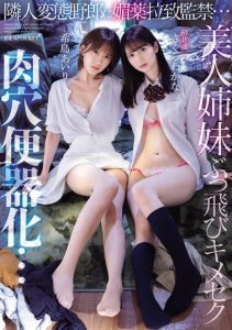 [IPZZ-300] Abducted and confined by a perverted neighbor… Beautiful sisters turned into hardcore flesh hole toilets… Kijima Airi, Sakura Wakana