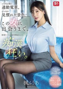 [SONE-760] The usual morning train. The usual scenery. Until I met this woman. A middle-aged salaryman on the verge of retirement becomes obsessed with molesting – Kaede Fuua